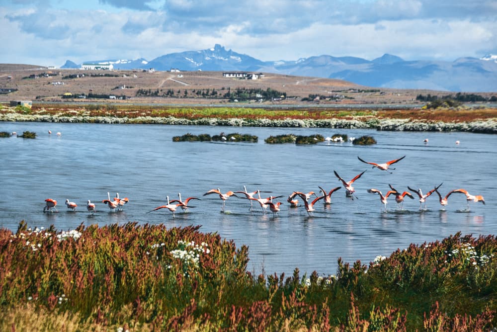 El Calafate und Gletscher
