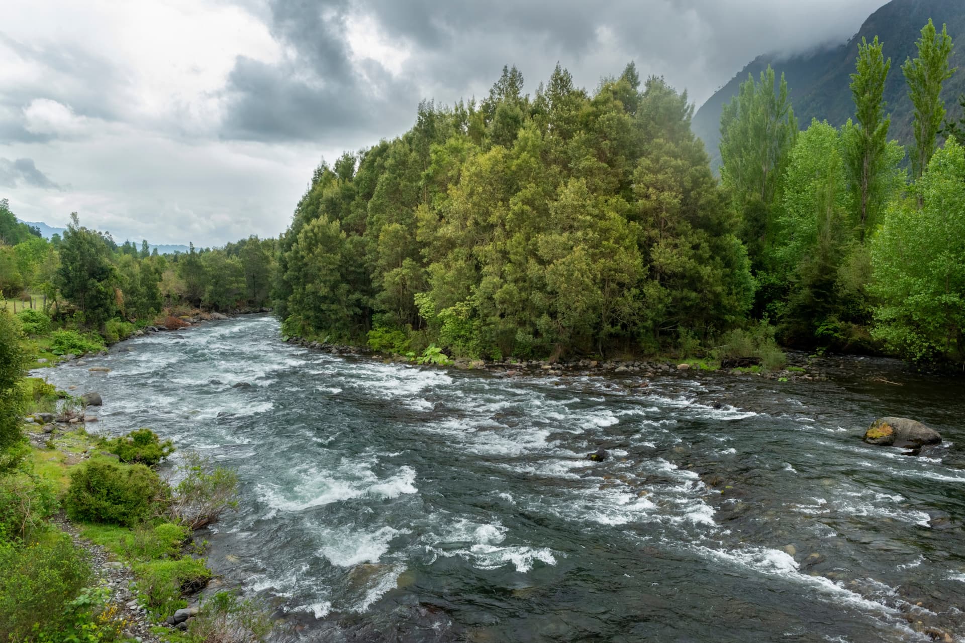 llancahue shutterstock 1713295243